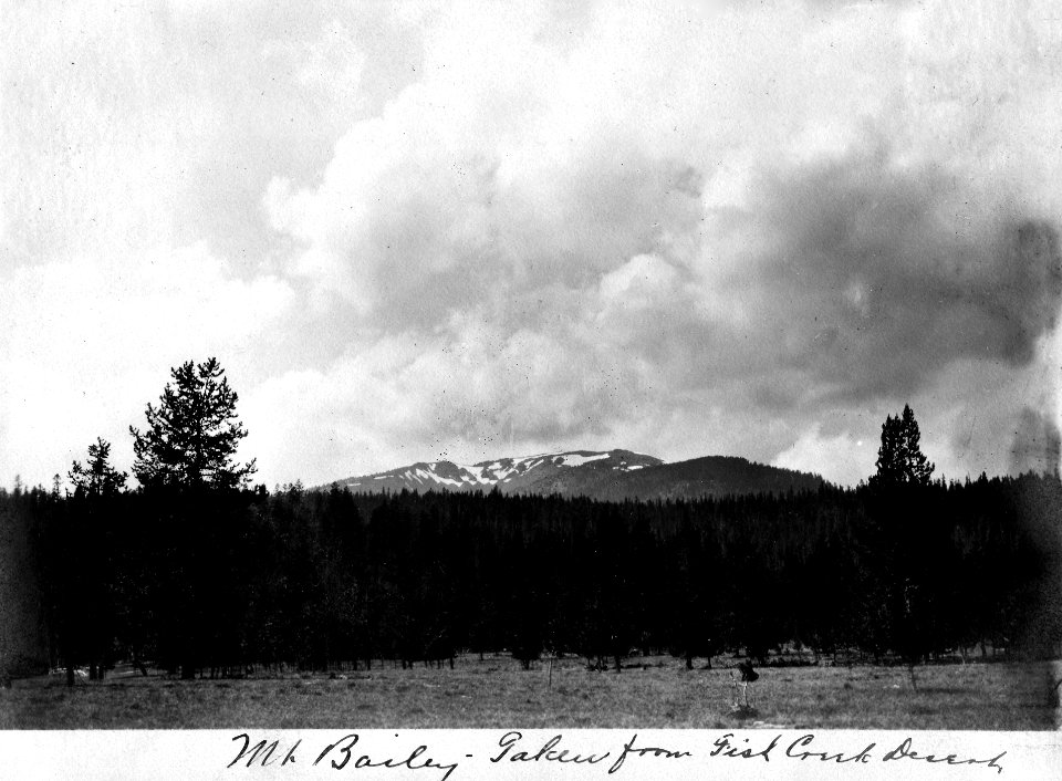 Umpqua NF - Mt. Bailey c1910