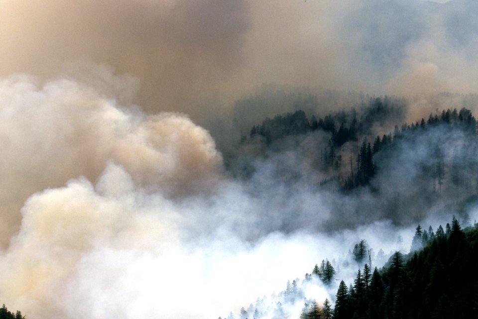 097 Rogue River-Siskiyou National Forest, Biscuit Fire