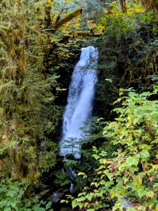 FS Olympic Merriman Falls at Merriman Creek along the Quinault Lake South Shore Road