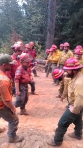 Canadian and US Firefighters together at border, Horns Mountain Fire, Photo Credit Johnny Walker