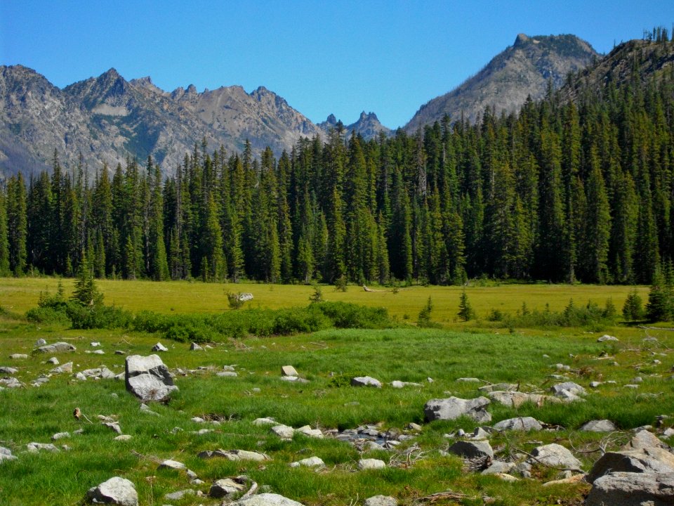 BigCowMeadow EntiatRD byPatrickHerman July2013