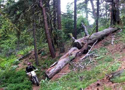 Motorcycle-FS TrailCrewPersonOnMotorcycle-Certifying USFS employees for trail motorcycles(12)OkaWenNFbyMasonSchuurUSFS-June2019