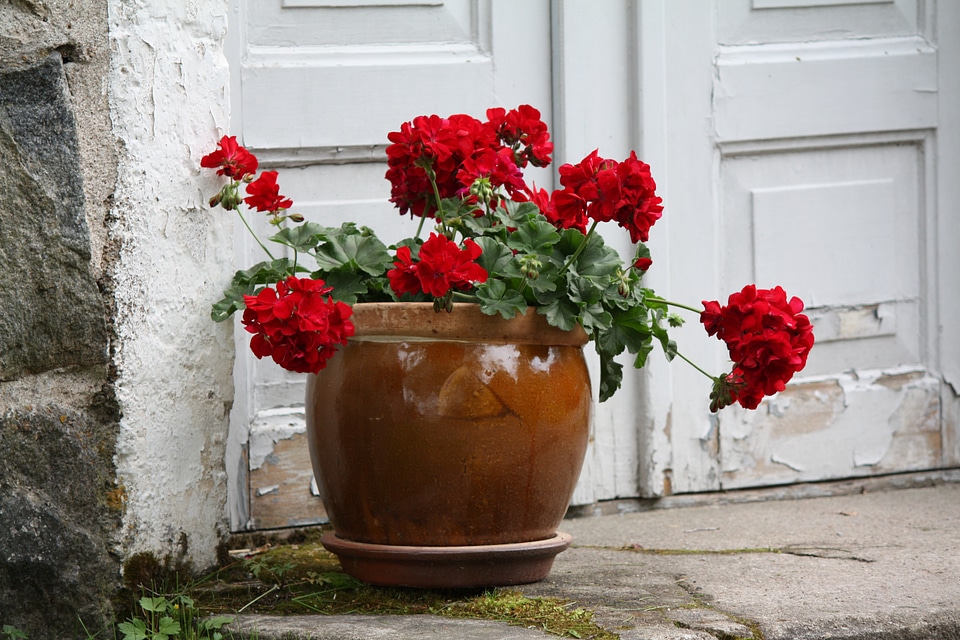 Red door staircase