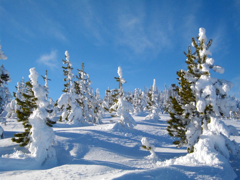 Snow covered landscape by Sugarloaf Lookout byPatrickHerman