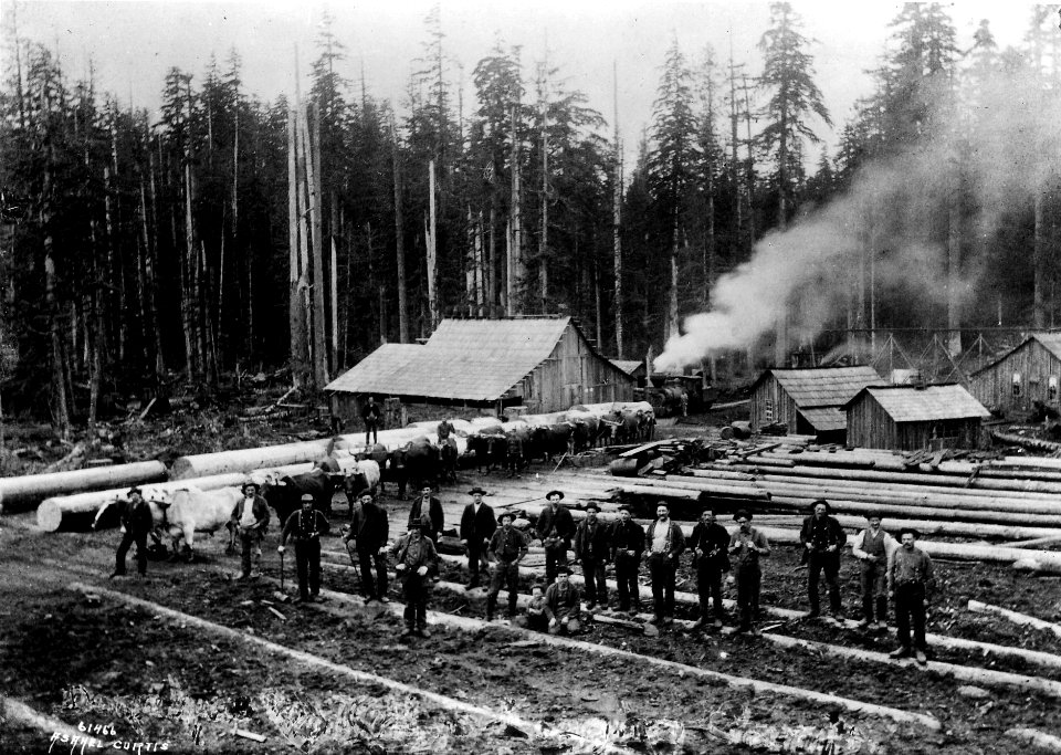 61466 Logging Camp by Ashel Curtis c1901