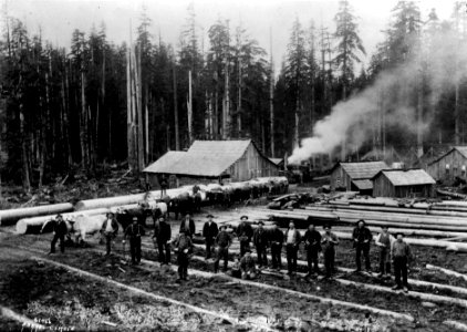 61466 Logging Camp by Ashel Curtis c1901