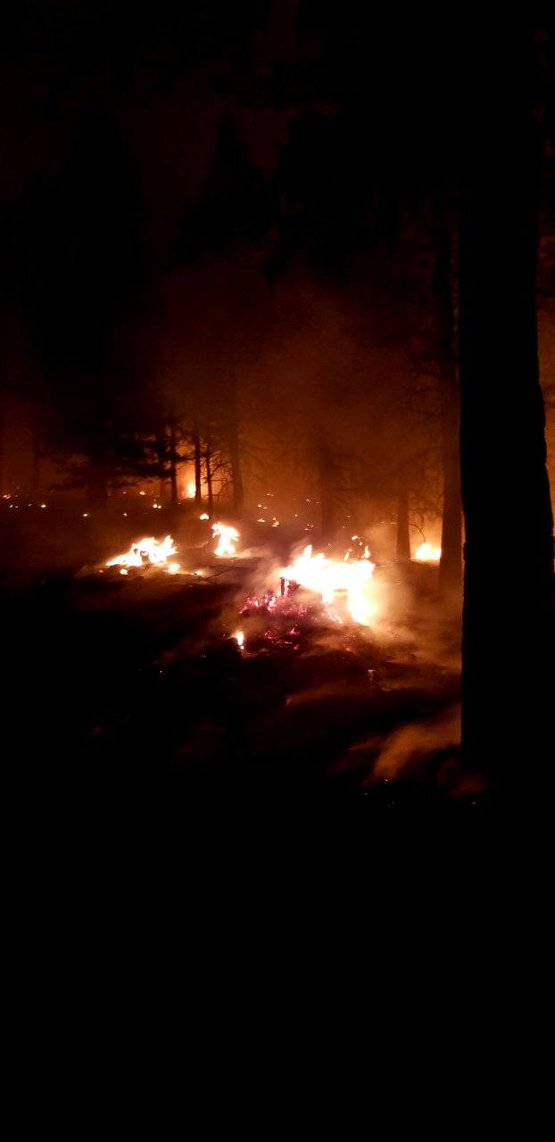 The Canyon 66 Prescribed fire burns at night