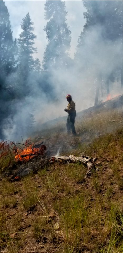 A firefighter monitors progress on the Canyon 66 Prescribed fire