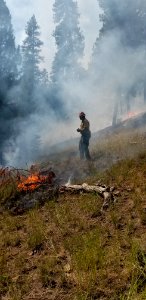 A firefighter monitors progress on the Canyon 66 Prescribed fire