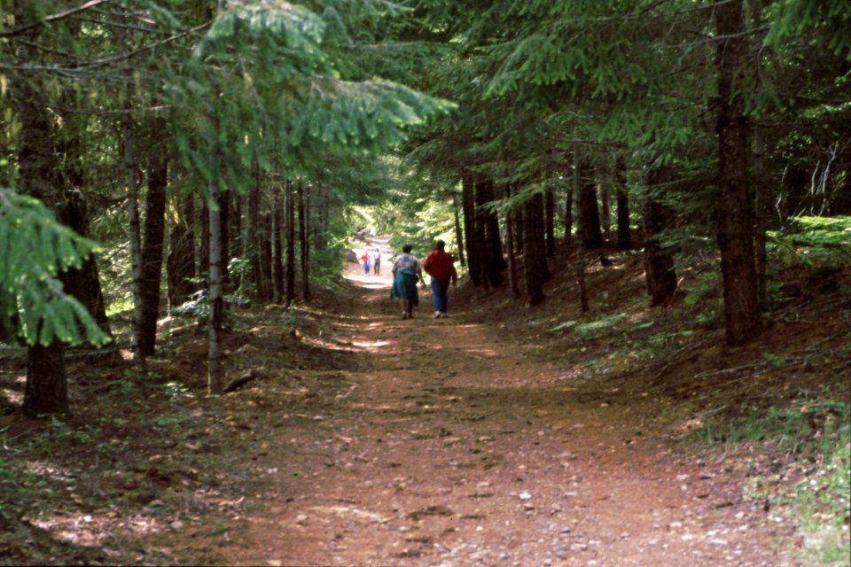 Willamette NF - Santiam Wagon Road, OR 1991a