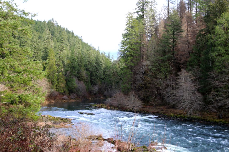 1-8-19-n-umpqua-river-cjpg 48801023966 o