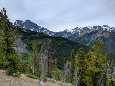 202007 Olympic National Forest backcountry in designated Wilderness.