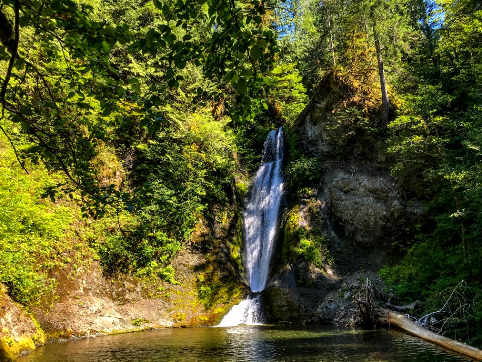 Olympic Spoon Creek Falls in summer. Photo by Tharon Snuggs, USFS photo.