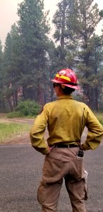 A firefighters monitors progress of Canyon 66 Prescribed fire photo