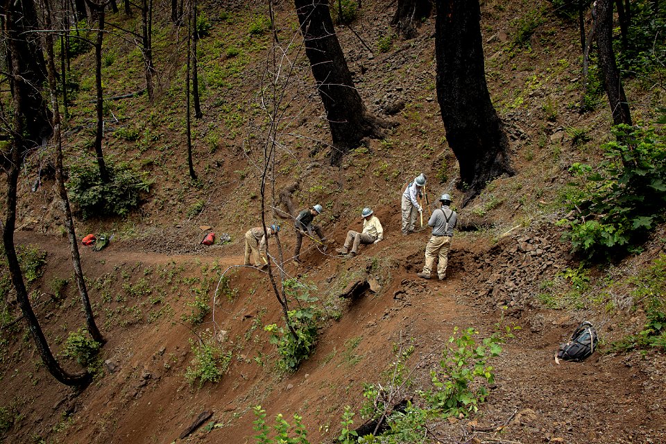 20180628 FS CRGNSA Pacific Crest Trail Association and CRGNSA trail work party EagleCreek Trail Courtesy PCTA 003