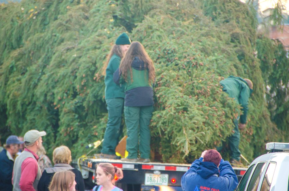 2013 Capitol Christmas Tree-108