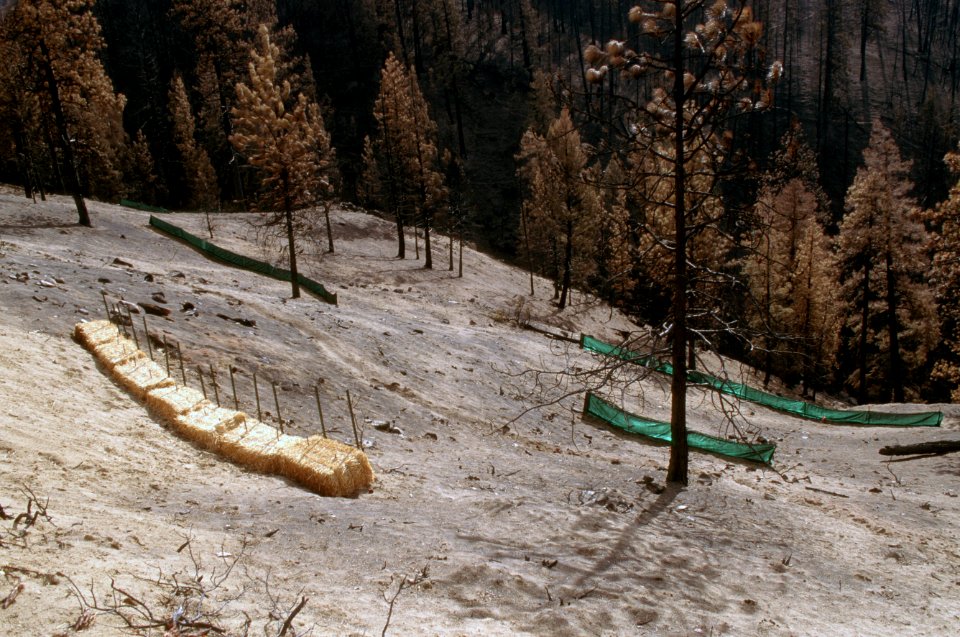 BAER Burned Area Emergency Response.jpg