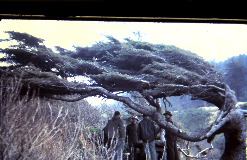 VIS planning CApe Perpetua 1964