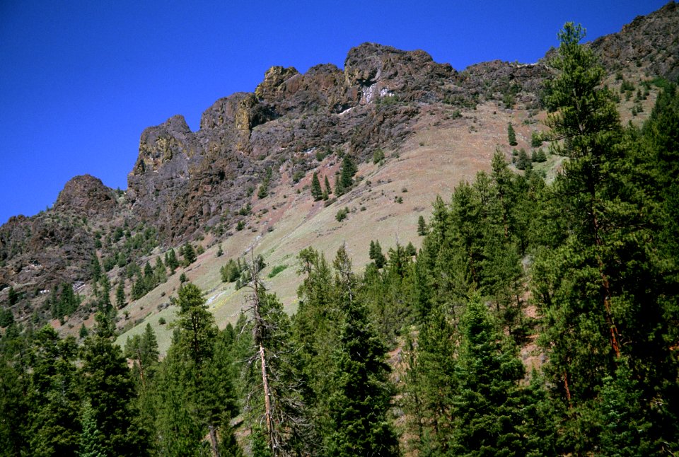 Aldrich Mountains, Malheur National Forest