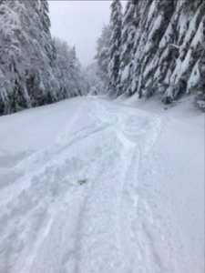 20200116 MtHood Forest Road 18 Lolo Pass