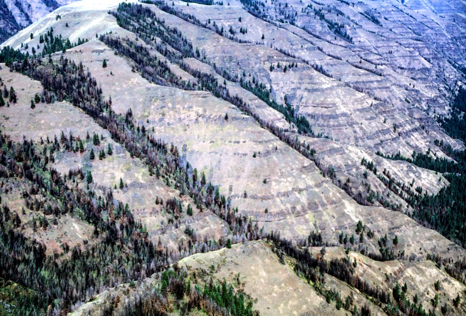 Imnaha River Canyon, Wallowa Whitman National Forest.jpg