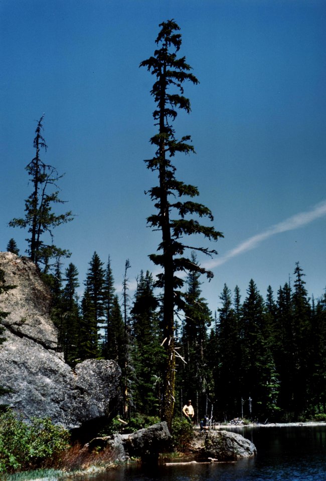 Umpqua NF - Lenard Morin at Lake c1978