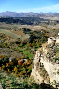 Ronda novembre 2017