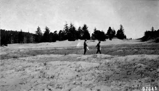97641 Seeding Umpqua Flats Sand Dunes, Siuslaw NF, OR 1911 photo