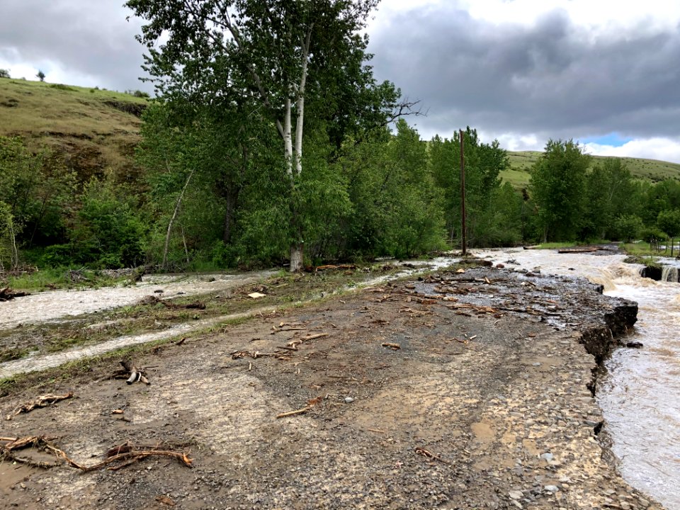 Forest Service Road 54 (Pearson Creek)