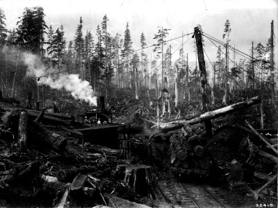 95418 Loading RR Cars Snoqualmie NF, WA 1911 photo