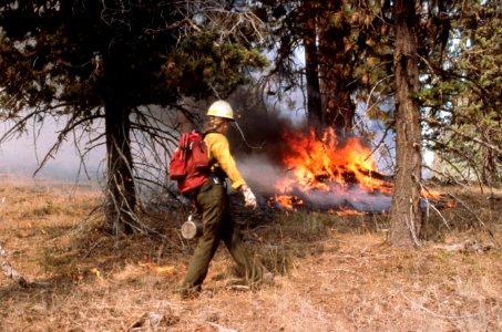 263 Ochoco National Forest, Mill Creek Fire