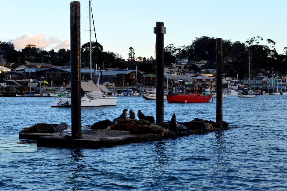 Morro Bay, CA (Unedited)