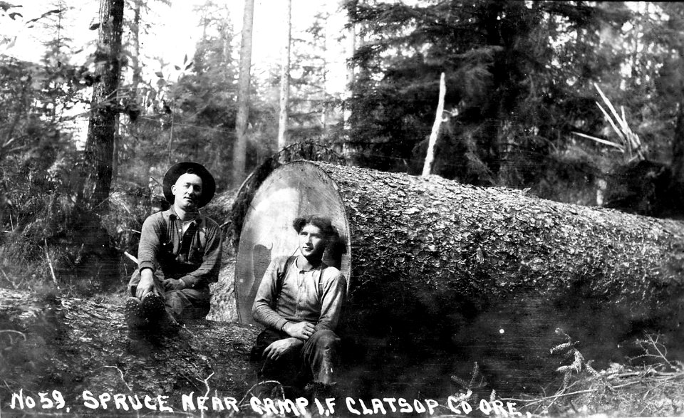 No. 59 Spruce Near Camp 1-F Clatsop Co Ore.
