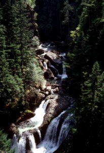 Mt Hood National Forest, Salmon River Falls.jpg
