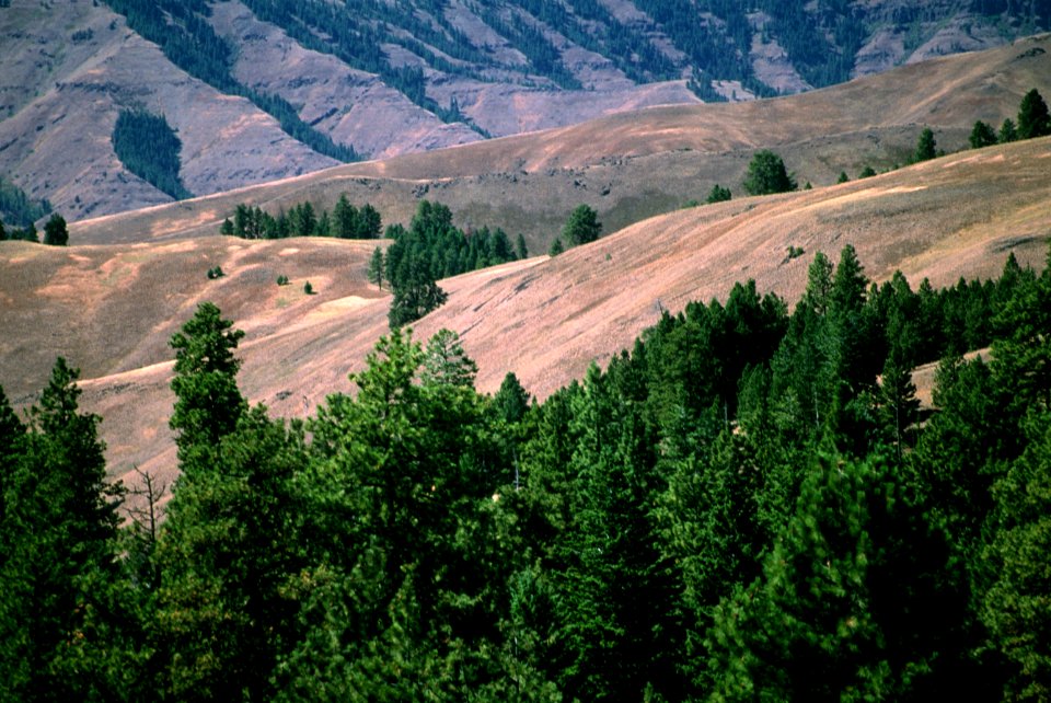 Hells Canyon NRA, Wallowa Whitman National Forest-4.jpg