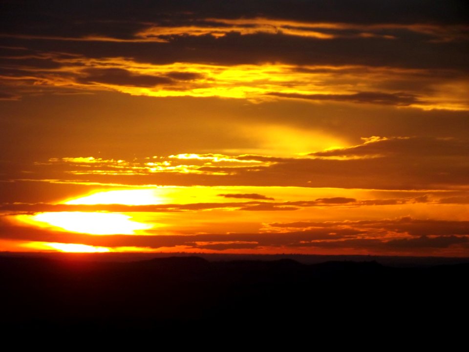 DSCF0686