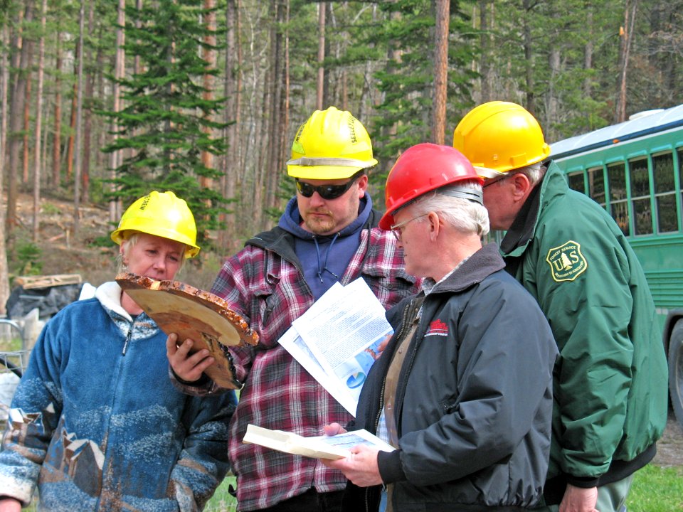 Montana Forest Restoration Working Group, Lolo National Forest photo