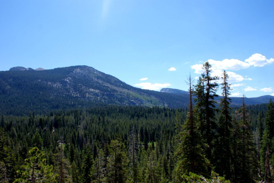 Inyo National Forest, California