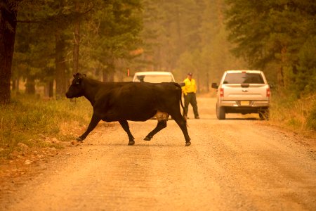 20180822-FS-Okanogan-KG-0538
