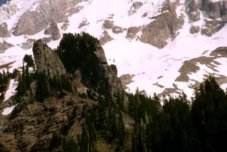 Gnarl Ridge, Mt Hood National Forest.jpg photo