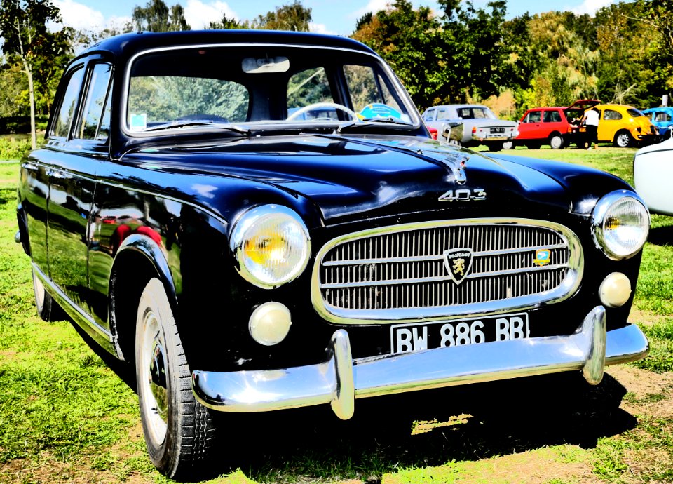 auto expo saint julien de concelles sept 2015 17