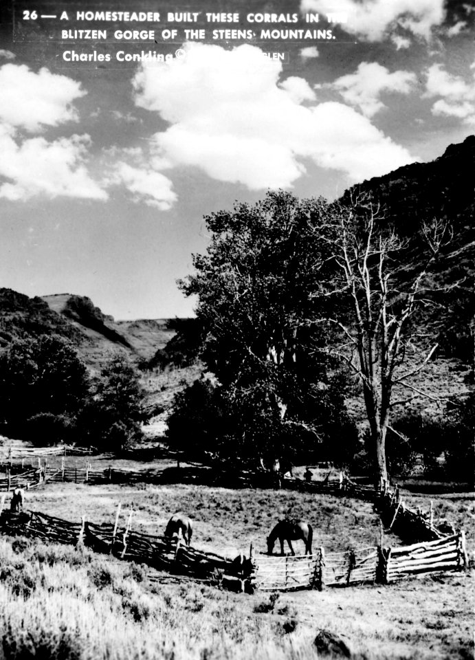 26 Homesteader Corrals, Blitzen Gorge, Steens Mountains