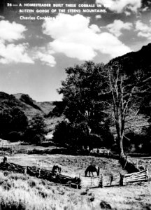 26 Homesteader Corrals, Blitzen Gorge, Steens Mountains photo