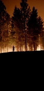 A firefighter monitors the progress of the Canyon 66 Prescribed fire at night photo