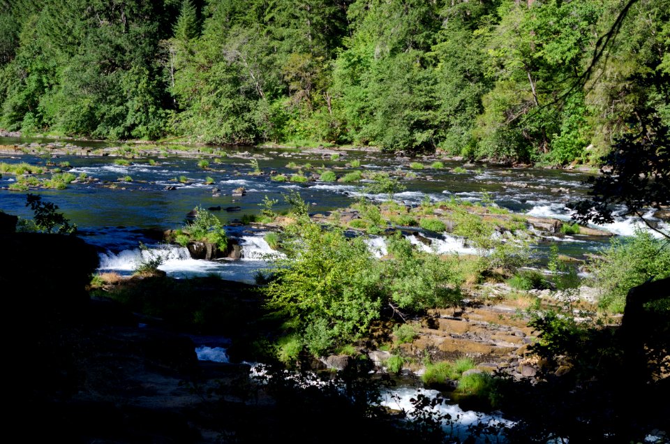 Recreation on the "Wild and Scenic" north Umpqua River
