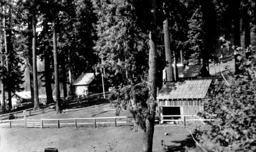Willamette NF - Fish Lake RS, OR c1935 photo
