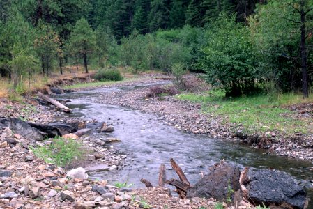 Ochoco National Forest, Mill Creek stream restoration-5.jpg