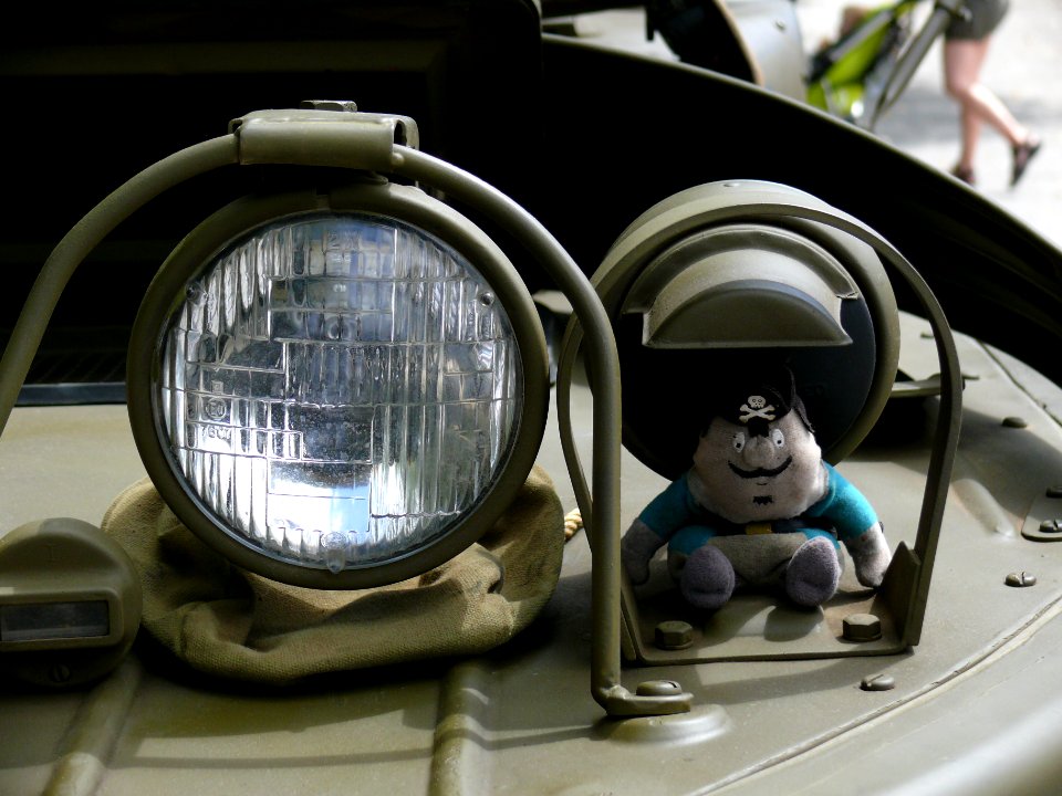 Rassemblement international de la voiture amphibie