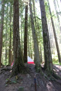Dungeness Forks Campground, Olympic National Forest.