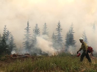 Fire crews perform controlled burnout operations to strengthen control lines, Whitewater Fire, 2017